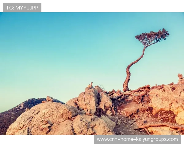 逆境中的“坚韧战士”,迎来“生死战”! 逆境中的“坚韧战士”,迎来“生死战”!
